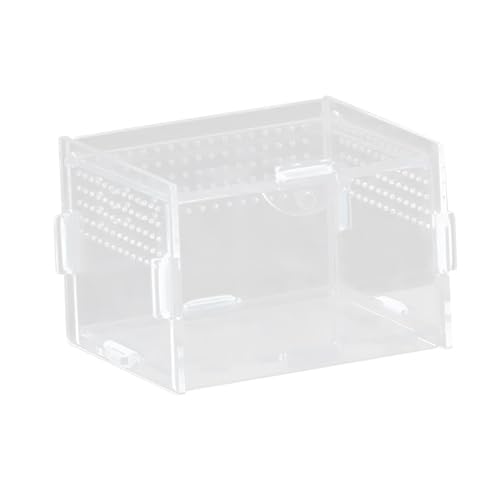 Aymzbd Reptilienzuchtbox Gehege Brutbehälter Transportbox Beobachtungsbox Aus Acryl mit Viel für Landschaftsgestaltung für Die Zucht von Kleinstreptil, 10x8x7cm Aymzbd Reptilienzuchtbox Gehege Brutbehälter Transportbox Beobachtungsbox Aus Acryl mit Viel für Landschaftsgestaltung für Die Zucht von Kleinstreptil, 10x8x7cm von Aymzbd