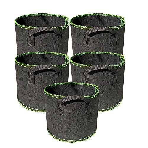 Ayvicco 5 Stück 2 Gallonen Wachstumsbeutel Heavy Duty Verdickte Vlies-Belüftungsstoff Töpfe mit Griffen, Indoor Garten Pflanzbeutel für Gemüse, Blume, Kräuter, Heimdekoration, Pflanzenwachstumsbeutel Ayvicco 5 Stück 2 Gallonen Wachstumsbeutel Heavy Duty Verdickte Vlies-Belüftungsstoff Töpfe mit Griffen, Indoor Garten Pflanzbeutel für Gemüse, Blume, Kräuter, Heimdekoration, Pflanzenwachstumsbeutel von Ayvicco