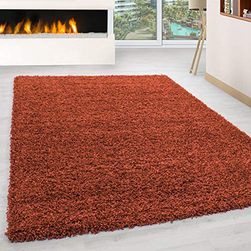 Ayyildiz Teppich-Hochflor Shaggy Teppich Unicolor einfarbig Wohnzimmer Flauschig, Polypropylen, Terracotta, 60 X 110 von Ayyildiz Teppich