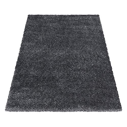 Ayyildiz Einfarbig Hochflor Teppich, Flauschiger Langflor Shaggy Teppich, Rechteckig, Luxuriöse Kuschelig, Super Weicher Wohnzimmer Teppich, Größe:80 x 150 cm, Farbe:Grau Ayyildiz Einfarbig Hochflor Teppich, Flauschiger Langflor Shaggy Teppich, Rechteckig, Luxuriöse Kuschelig, Super Weicher Wohnzimmer Teppich, Größe:80 x 150 cm, Farbe:Grau von Ayyildiz