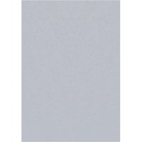 Ayyildiz Teppich SKY silber B/L: ca. 120x170 cm von Ayyildiz