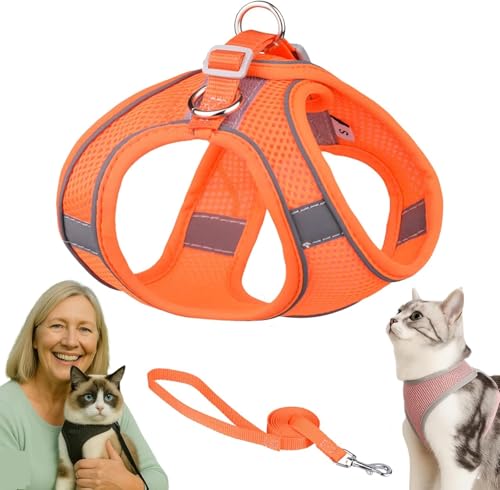 Serenosole Katzengeschirr Ausbruchsicher mit Leine – Atmungsaktive & Bequeme Katzenweste mit Reflektierenden Streifen, Verstellbares Geschirr für Katzen und Kleine Hunde (Orange,XXS) von Azarton
