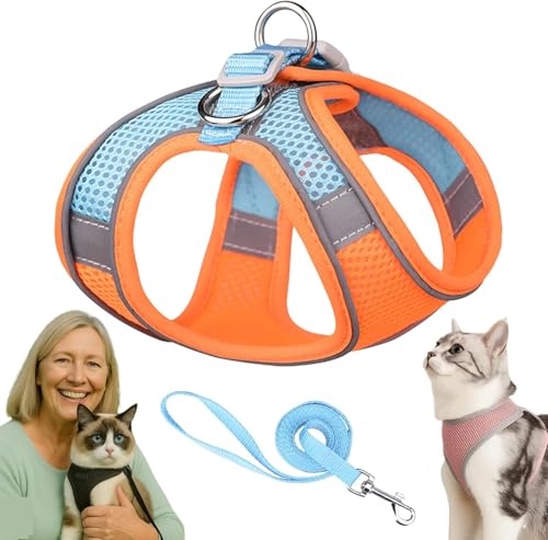 Serenosole Katzengeschirr Ausbruchsicher mit Leine – Atmungsaktive & Bequeme Katzenweste mit Reflektierenden Streifen, Verstellbares Geschirr für Katzen und Kleine Hunde (Orange-Blau,M) von Azarton