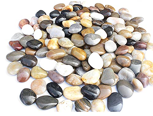 Kiesel Natur Deko Polierte Deko Steine Naturkiesel Kies für Garten Steine 2-4 cm 900g Kiesel Garten/Aquarien/Pflanzendeko Kiesel Natur Deko Polierte Deko Steine Naturkiesel Kies für Garten Steine 2-4 cm 900g Kiesel Garten/Aquarien/Pflanzendeko von Azatemgo