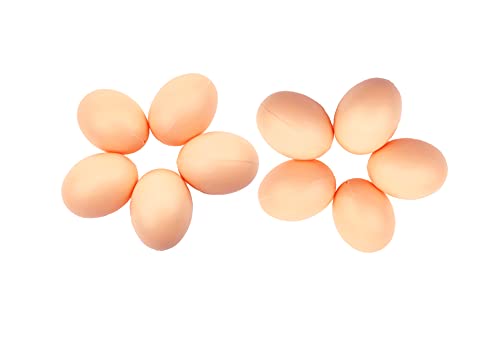 Gefälschte Eier Künstliche Plastikeiern Nisteier aus Plastik für Hühner 10 Stück Künstliche Eier zur Bruthilfe Hilfe beim Legen von Hühnern von Azatemgo