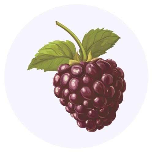 Azeeda 24 x 'Einzelne Brombeere' Aufkleber - für Basteln, Scrapbooking und Etikettierung (SK00070621) von Azeeda