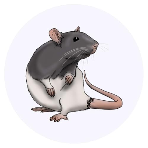 Azeeda 24 x 'Ratte' Aufkleber - für Basteln, Scrapbooking und Etikettierung (SK00044018) von Azeeda