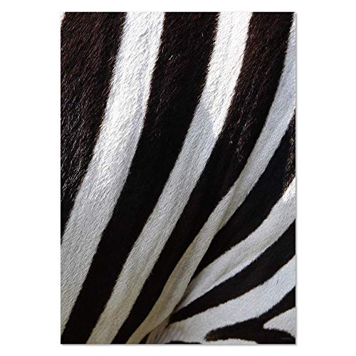 Azeeda A4 'Zebra-Pelz' Poster/Kunstdruck (PP00058846) von Azeeda