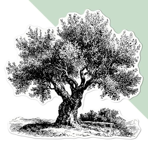 Azeeda Große 210mm 'Vintage Olivenbaum' Permanente Aufkleber (DW00147202) von Azeeda