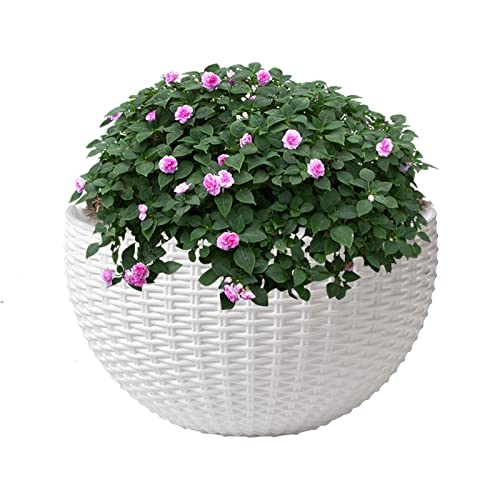 An Der Wand Befestigte Pflanzgefäße - Halbrunde Pflanzkörbe Aus Rattanimitat Im Europäischen St | Der Wand Befestigter Eierhalter Holzkunst Bauernvase Blumenarrangement Behälter Blumentopf von Aznever