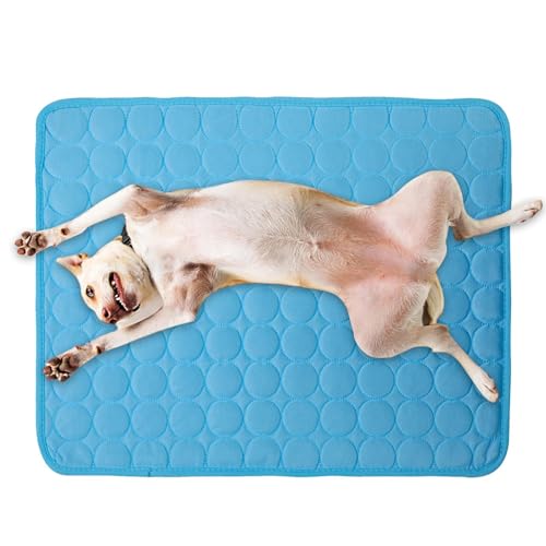 Aznever Kühlmatte Für Hunde | Waschbare wasserdichte Kühlmatte Für Tiere | Haustierkissen Für Garten Zimmer Reise Zuhause Aznever Kühlmatte Für Hunde | Waschbare wasserdichte Kühlmatte Für Tiere | Haustierkissen Für Garten Zimmer Reise Zuhause von Aznever
