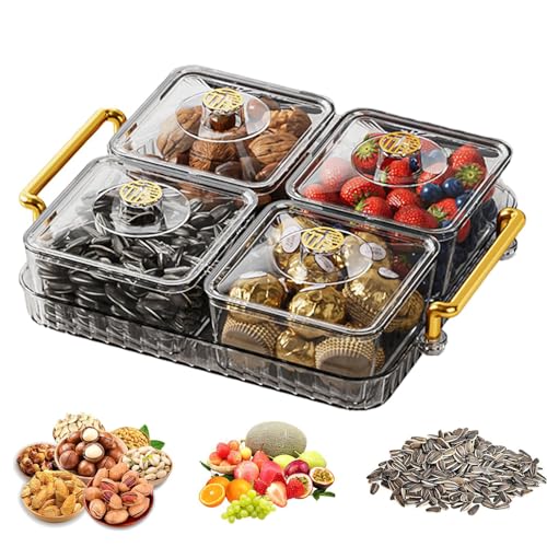 Aznever Serviertablett mit Fächern, geteiltes Snacktablett - Snackplatten-Organizer,Tragbares, durchsichtiges, Elegantes, langlebiges, abnehmbares, modisches Serviertablett mit Deckel und Griff von Aznever