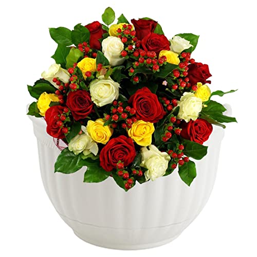 Aznever Wandbehang Pflanzer - Hängender Pflanzzaun | Wand-Pflanzgefäß für den Innenbereich, Wandbehang, Blumen-Pflanzgefäß, Blumentopf für Container-Gartenarbeit von Aznever