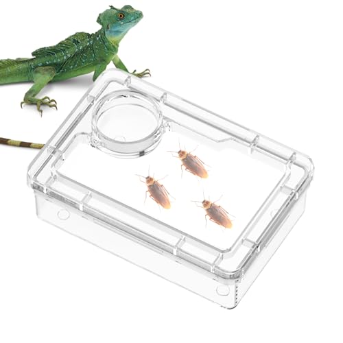Reptilien Trinknapf - Futternapf Für Bartagamen | Terrarium Futtergefäß Für Leopardgecko Gecko von Aznever