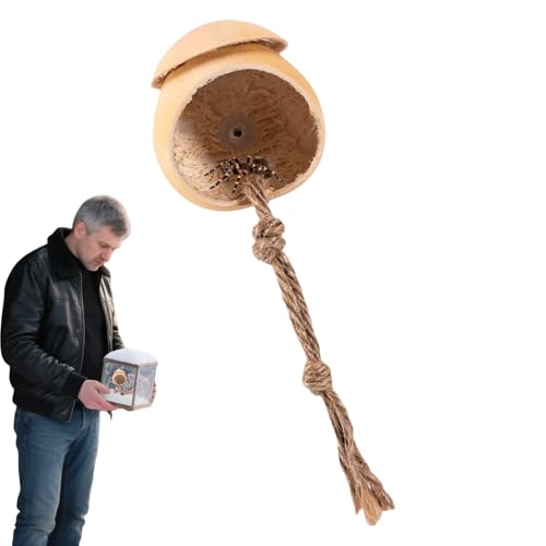 Spinnen Terrarium | Naturbelassen Handgefertigter Unterschlupf | Holz Reptilien Zubehör in Kürbisform Terrarium Dekoration für Grillen Geckos und Eidechsen von Aznever