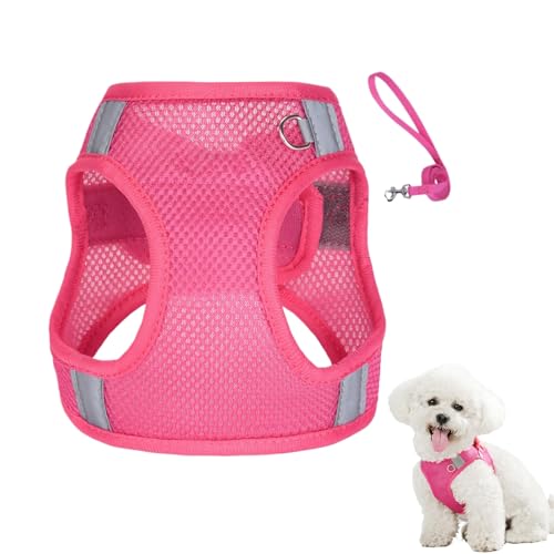 Zugfreies Hundegeschirr | Anti Zug Geschirr und Leine Set für Welpen - Haustierzubehör Mit Zugleine Für Einfache Kontrolle Bei Spaziergängen Und Outdoor Aktivitäten von Aznever
