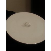 Rosenthal/Continentl Hermelingericht-Deckel - 26cm von AzureThings