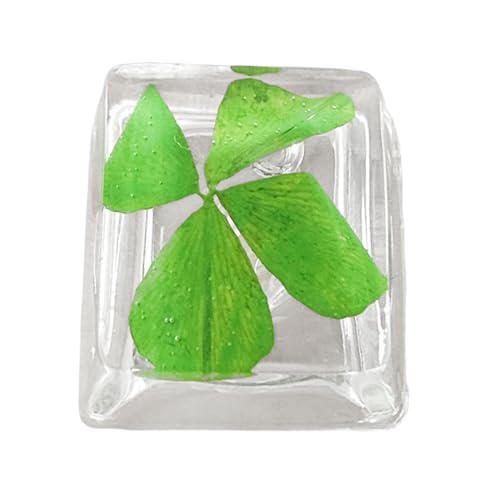 Azxcvbnm Handgefertigte Harzschlüsselcap Customs Transparenz Clovers Handgefertigtes Harzschlüsselkap Keyboard Mechanical Gaming Tastaturzubehör Azxcvbnm Handgefertigte Harzschlüsselcap Customs Transparenz Clovers Handgefertigtes Harzschlüsselkap Keyboard Mechanical Gaming Tastaturzubehör von Azxcvbnm