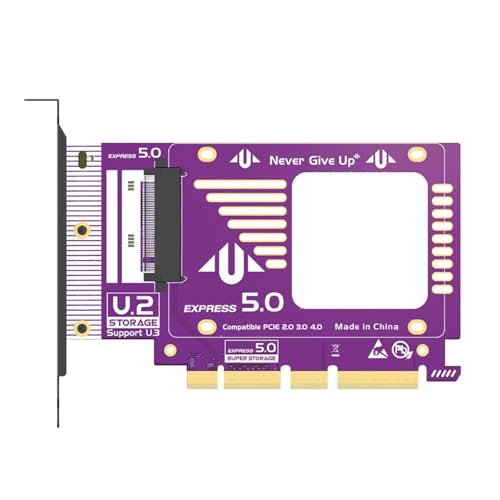 Azxcvbnm PCIE 5.0 NVME Expansion Adapter Card Für Pciexpressx4 Solid Disks 128Gbit / S KOMPATIEN Ältere PCIe Generationen von Azxcvbnm