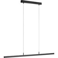 B+M Leuchten Easy Black Edition LED Pendelleuchte von B+M Leuchten