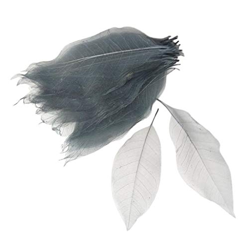 B Baosity 100 Stück Echte Gepresste Getrocknete Skelett Blätter Skelettblätter Schleierblätter Packung DIY Karten Machen - Grau weiß, 15-18 cm B Baosity 100 Stück Echte Gepresste Getrocknete Skelett Blätter Skelettblätter Schleierblätter Packung DIY Karten Machen - Grau weiß, 15-18 cm von B Baosity