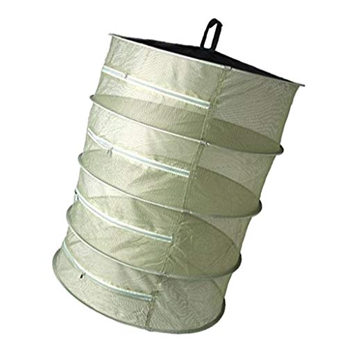 B Blesiya Hängendes trocknendes Netz, aus Atmungsaktives Gewebe und elastischer Metallrahmen, mit Reißverschluss, Grün, 4-Schichten von B Blesiya