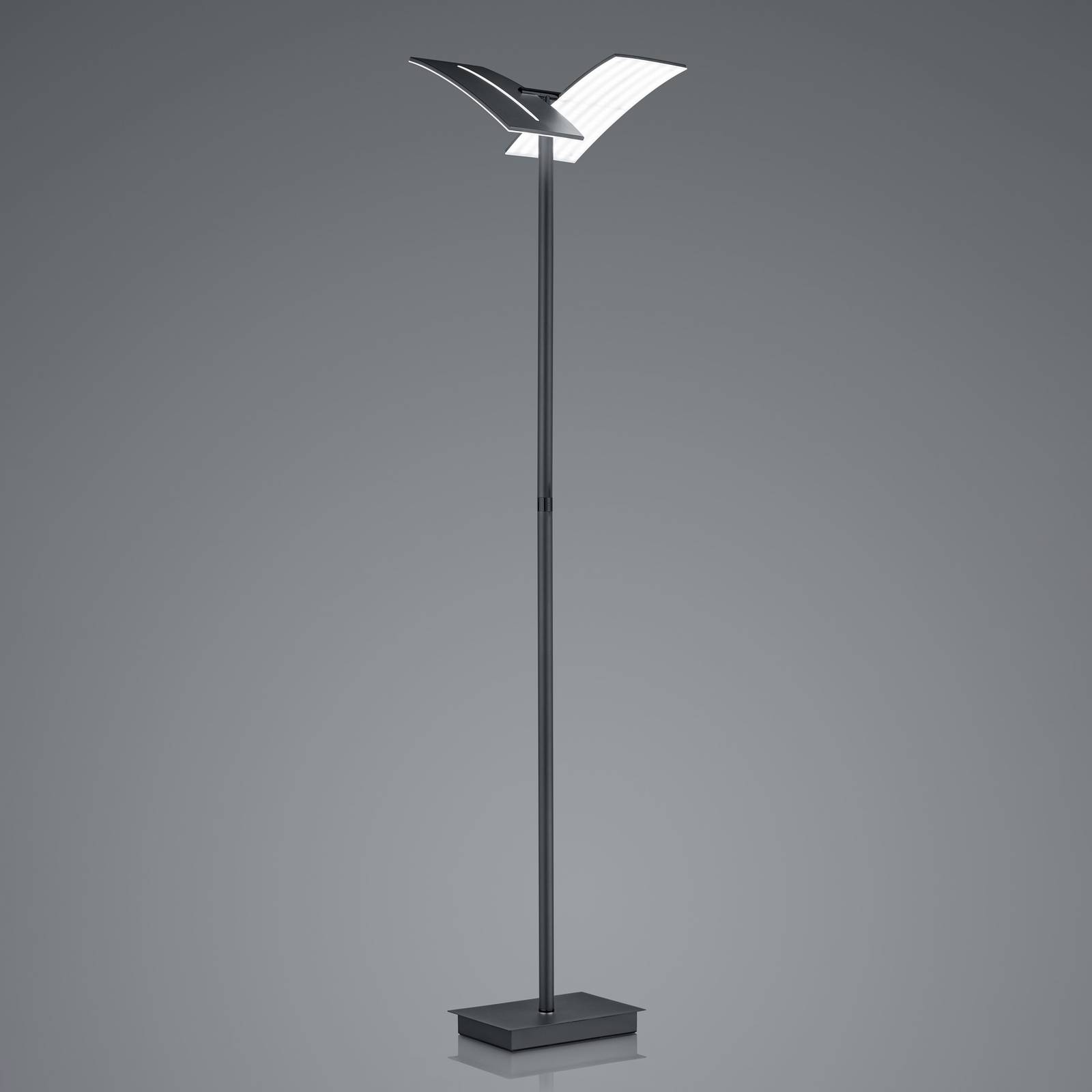 LED-Stehleuchte Dual CCT, dimmbar, schwarz von HELL