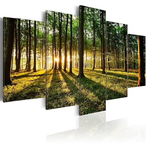 B&D XXL Acrylglasbild 200x100 cm 5 Teilig Wandbild auf Acryl Glasbilder Kunstdruck Moderne Acrylglas Platte Wanddekoration Geschenke Heimdekoration Glasbild b-B-0027-k-n von B&D XXL