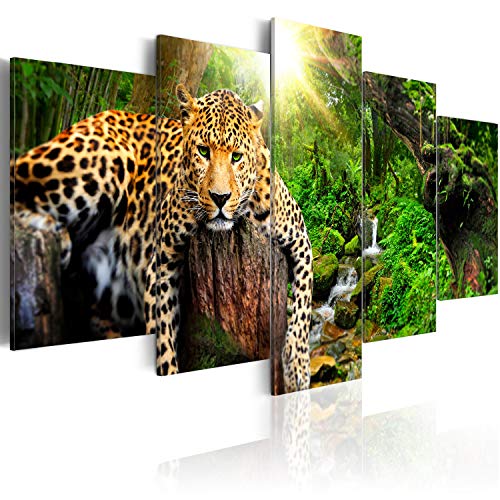 B&D XXL Acrylglasbild Tier 00x50 cm 5 Teilig Wandbild auf Acryl Glasbilder Kunstdruck Moderne Acrylglas Platte Wanddekoration Geschenke Heimdekoration Glasbild Leopard Wald Natur g-C-0031-k-n B&D XXL Acrylglasbild Tier 00x50 cm 5 Teilig Wandbild auf Acryl Glasbilder Kunstdruck Moderne Acrylglas Platte Wanddekoration Geschenke Heimdekoration Glasbild Leopard Wald Natur g-C-0031-k-n von B&D XXL