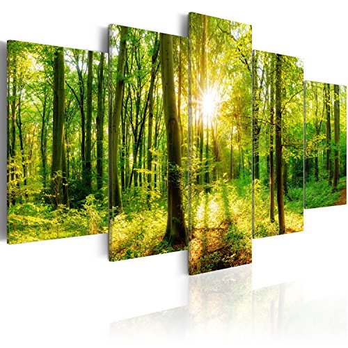 B&D XXL Acrylglasbild Wald 100x50 cm 5 Teilig Wandbild auf Acryl Glasbilder Kunstdruck Moderne Acrylglas Platte Wanddekoration Geschenke Heimdekoration Glasbild Wald Natur Baum c-B-0186-k-m B&D XXL Acrylglasbild Wald 100x50 cm 5 Teilig Wandbild auf Acryl Glasbilder Kunstdruck Moderne Acrylglas Platte Wanddekoration Geschenke Heimdekoration Glasbild Wald Natur Baum c-B-0186-k-m von B&D XXL