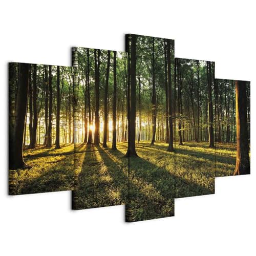 B&D XXL - Akustikbild Wald Natur 5 tlg - Bilder Akustikschaum Schallschutz Wand Deko Kunst Akustikpaneele Wandpaneele Schalldämmung Wandbild Schallabsorber Akustikplatten b-B-0027-b-n B&D XXL - Akustikbild Wald Natur 5 tlg - Bilder Akustikschaum Schallschutz Wand Deko Kunst Akustikpaneele Wandpaneele Schalldämmung Wandbild Schallabsorber Akustikplatten b-B-0027-b-n von B&D XXL