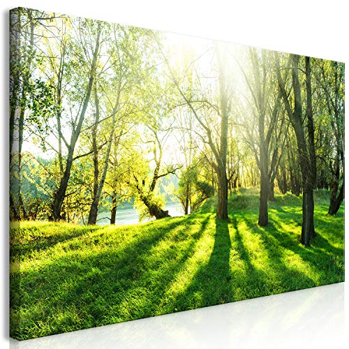 B&D XXL Wandbild Mega XXXL BäumeEinteiliger XXL-Format Kunstdruck zur Selbstmontage Leinwandbilder moderne Bilder DIY Wanddekoration Wohnung Deko Natur c-B-0053-ak-e von B&D XXL