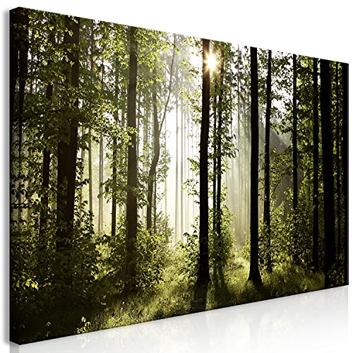 B&D XXL Wandbild Mega XXXL Wald Einteiliger XXL-Format Kunstdruck zur Selbstmontage Leinwandbilder moderne Bilder DIY Wanddekoration Wohnung Deko Waldlandschaft Natur Panorama B&D XXL Wandbild Mega XXXL Wald Einteiliger XXL-Format Kunstdruck zur Selbstmontage Leinwandbilder moderne Bilder DIY Wanddekoration Wohnung Deko Waldlandschaft Natur Panorama von B&D XXL