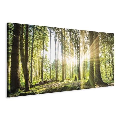 B&D XXL Wandbild Mega XXXL Waldlandschaft Einteiliger XXL-Format Kunstdruck zur Selbstmontage Leinwandbilder moderne Bilder DIY Wanddekoration Wohnung Deko Natur Panorama von B&D XXL