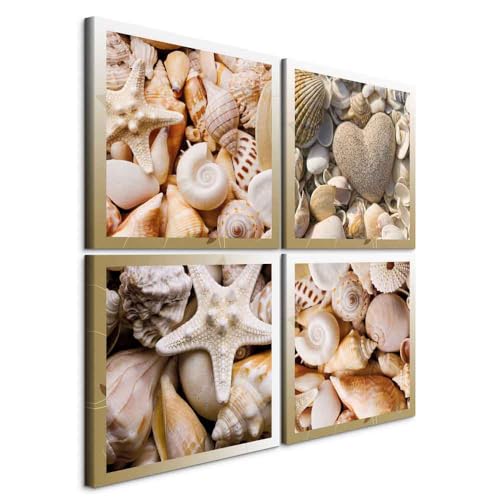 B&D XXL - Wandbilder Set Muscheln 60x60 cm 4 Teilig je 30x30 Vlies Leinwandbild Kunstdruck modern Wandbilder XXL Wanddekoration Design Wand Bild mehrteilig - Natur 9060142 B&D XXL - Wandbilder Set Muscheln 60x60 cm 4 Teilig je 30x30 Vlies Leinwandbild Kunstdruck modern Wandbilder XXL Wanddekoration Design Wand Bild mehrteilig - Natur 9060142 von B&D XXL