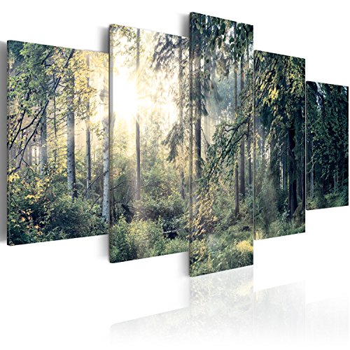 B&D XXL - Wandbilder XXL 200x100cm 5 tlg - Wand Deko Leinwand Bilder Groß Wanddeko Wohnzimmer Schlafzimmer Kunstdrucke - Landschaft Wald Natur Bäume c-C-0033-b-p von B&D XXL