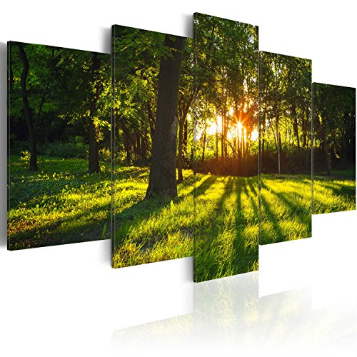B&D XXL - Wandbilder XXL 200x100cm 5 tlg - Wand Deko Leinwand Bilder Groß Wanddeko Wohnzimmer Schlafzimmer Kunstdrucke - Wald c-A-0076-b-o von B&D XXL