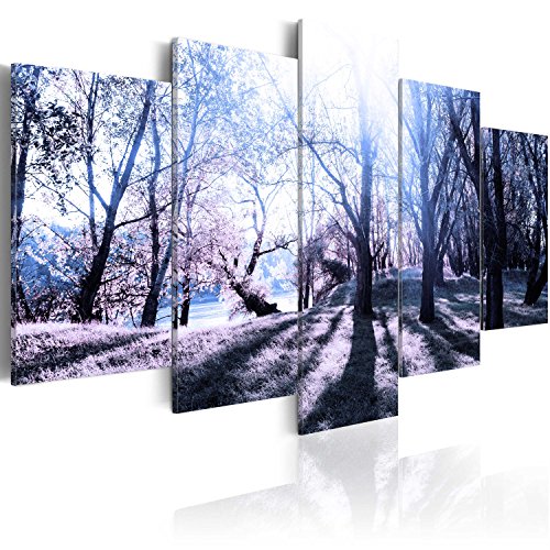 B&D XXL - Wandbilder XXL 225x112cm 5 tlg - Wand Deko Leinwand Bilder Groß Wanddeko Wohnzimmer Schlafzimmer Kunstdrucke - Natur Bäume Wald Park c-B-0030-b-p B&D XXL - Wandbilder XXL 225x112cm 5 tlg - Wand Deko Leinwand Bilder Groß Wanddeko Wohnzimmer Schlafzimmer Kunstdrucke - Natur Bäume Wald Park c-B-0030-b-p von B&D XXL