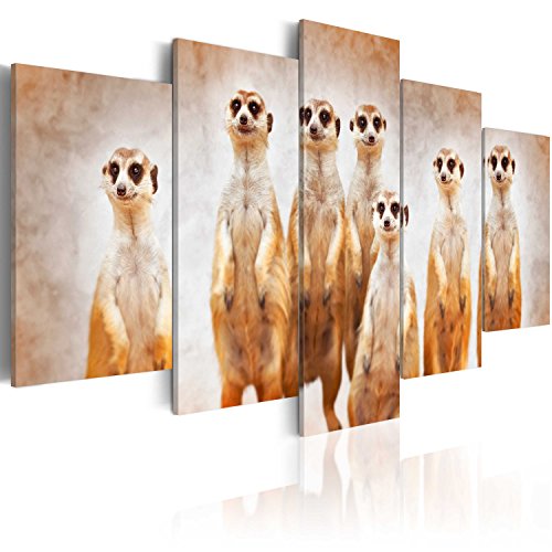 B&D XXL - Wandbilder XXL 225x112cm 5 tlg - Wand Deko Leinwand Bilder Groß Wanddeko Wohnzimmer Schlafzimmer Kunstdrucke - Tiere Afrika g-A-0087-b-p B&D XXL - Wandbilder XXL 225x112cm 5 tlg - Wand Deko Leinwand Bilder Groß Wanddeko Wohnzimmer Schlafzimmer Kunstdrucke - Tiere Afrika g-A-0087-b-p von B&D XXL