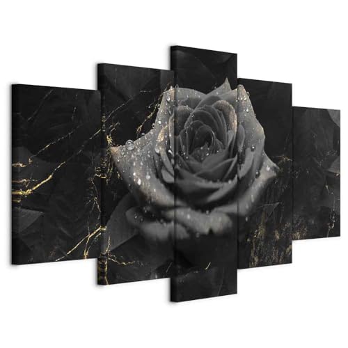 B&D XXL - Wandbilder XXL Blumen 150x75cm 5 tlg - Wand Deko Leinwand Bilder Groß Wanddeko Wohnzimmer Schlafzimmer Kunstdrucke - Rose Natur schwarz Tropfen b-C-0592-b-m B&D XXL - Wandbilder XXL Blumen 150x75cm 5 tlg - Wand Deko Leinwand Bilder Groß Wanddeko Wohnzimmer Schlafzimmer Kunstdrucke - Rose Natur schwarz Tropfen b-C-0592-b-m von B&D XXL