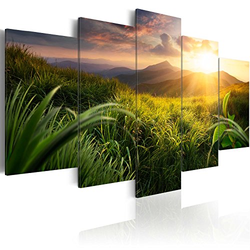 B&D XXL - Wandbilder XXL Landschaft Natur 200x100cm 5 tlg - Wand Deko Leinwand Bilder Groß Wanddeko Wohnzimmer Schlafzimmer Kunstdrucke - Gebirge Wiese c-A-0095-b-m B&D XXL - Wandbilder XXL Landschaft Natur 200x100cm 5 tlg - Wand Deko Leinwand Bilder Groß Wanddeko Wohnzimmer Schlafzimmer Kunstdrucke - Gebirge Wiese c-A-0095-b-m von Cuadros B&D XXL