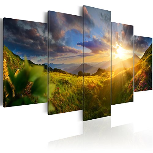 B&D XXL - Wandbilder XXL Landschaft Natur 225x112cm 5 tlg - Wand Deko Leinwand Bilder Groß Wanddeko Wohnzimmer Schlafzimmer Kunstdrucke - Gebirge Wiese c-C-0058-b-m von B&D XXL