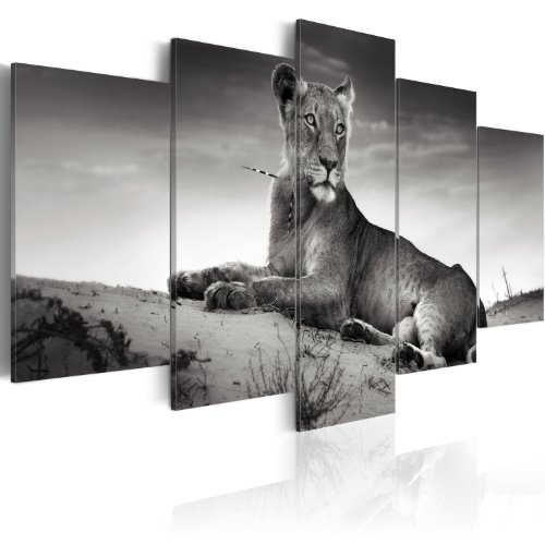 B&D XXL - Wandbilder XXL Löwe 200x100cm 5 tlg - Wand Deko Leinwand Bilder Groß Wanddeko Wohnzimmer Schlafzimmer Kunstdrucke - Tiere Natur Afrika Savanne Porträt grau 030216-4 von Cuadros B&D XXL