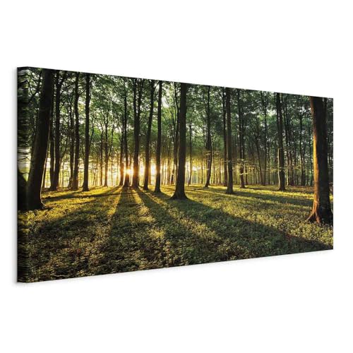 B&D XXL - Wandbilder XXL Wald 140x70 cm 1 tlg - Wand Deko Vlies Leinwand Bilder Groß Wanddeko Wohnzimmer Schlafzimmer Kunstdrucke - Landschaft Natur Baum grün c-B-0057-b-a B&D XXL - Wandbilder XXL Wald 140x70 cm 1 tlg - Wand Deko Vlies Leinwand Bilder Groß Wanddeko Wohnzimmer Schlafzimmer Kunstdrucke - Landschaft Natur Baum grün c-B-0057-b-a von B&D XXL