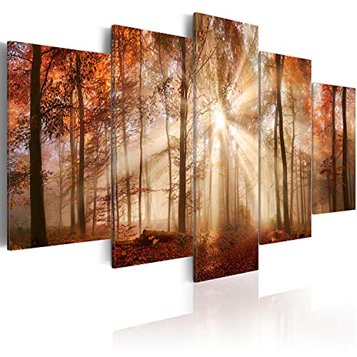 murando Acrylglasbild Abstrakt 200x100 cm 5 Teilig Wandbild auf Acryl Glas Bilder Kunstdruck Moderne Wanddekoration - Wald Natur Baum c-B-0189-k-m von B&D XXL