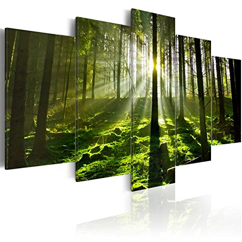 murando Acrylglasbild Landschaft 100x50 cm 5 Teilig Wandbild auf Acryl Glas Bilder Kunstdruck Moderne Wanddekoration - Wald Natur Bäume c-B-0100-k-m von B&D XXL