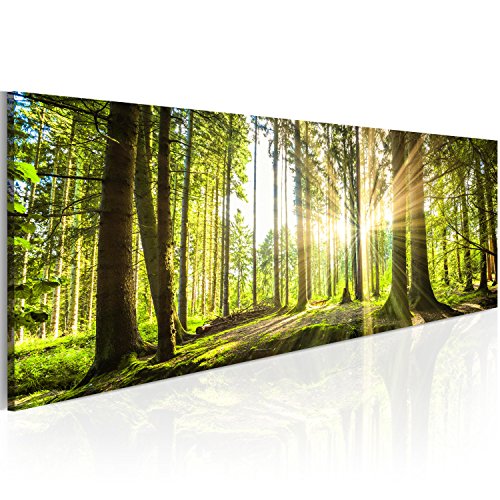 murando Acrylglasbild Landschaft 120x40 cm 1 Teilig Wandbild auf Acryl Glasbilder Kunstdruck Moderne Acrylglas Platte Wanddekoration Geschenke Heimdekoration Glasbild Wald Bäume Natur c-B-0077-k-b von B&D XXL