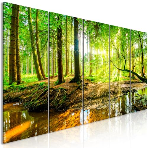 murando Acrylglasbild Wald 100x40 cm 5 Teilig Wandbild auf Acryl Glasbilder Kunstdruck Moderne Acrylglas Platte Wanddekoration Geschenke Heimdekoration Glasbild - Landschaft Natur c-B-0241-k-m von B&D XXL