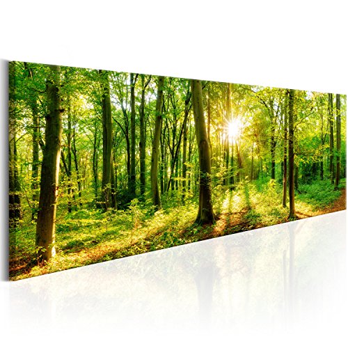 murando Acrylglasbild Wald 120x40 cm 1 Teilig Wandbild auf Acryl Glasbilder Kunstdruck Moderne Acrylglas Platte Wanddekoration Geschenke Heimdekoration Glasbild Landschaft Natur Panorama Baum von B&D XXL