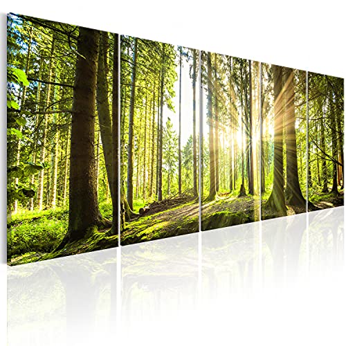 murando Acrylglasbild Wald 150x60 cm 5 Teilig Wandbild auf Acryl Glas Bilder Kunstdruck Moderne Wanddekoration - Waldlandschaft Natur Panorama Baume c-C-0177-k-n von B&D XXL